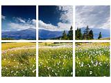 Swiss Alps in the Summer Scene 40x40x1.8cm - Set/6 (1/4)