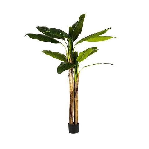 Potted Artificial Faux XL Banana Tree 120x200cm (1/1)