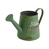 Rustic Home Garden Watering Can - Distressed Green